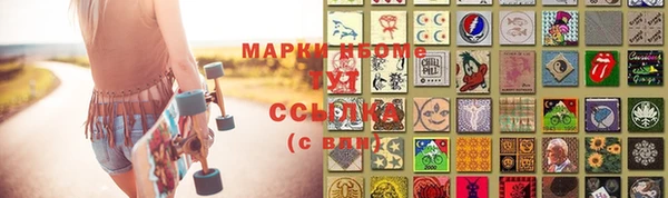 гашик Вяземский