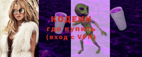 гашик Вяземский