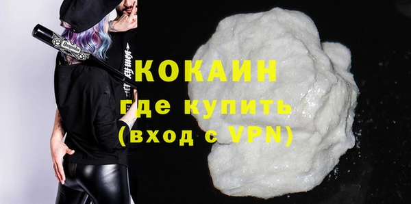 гашик Вяземский
