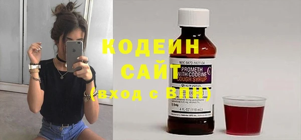 гашик Вяземский