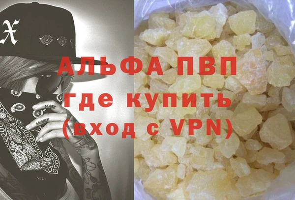 гашик Вяземский