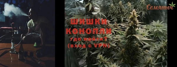 гашик Вяземский