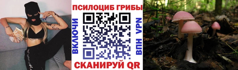 Галлюциногенные грибы Psilocybe  Купить где  Покачи 
